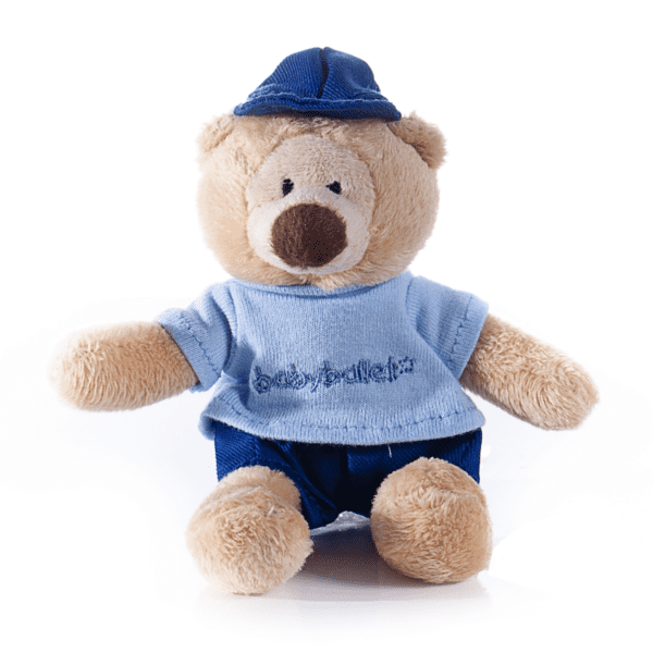 Mini-Teddy-Bear-babyballet